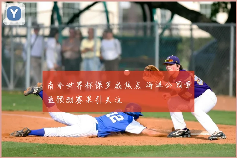 南非世界杯保罗成焦点 海洋公园章鱼预测赛果引关注