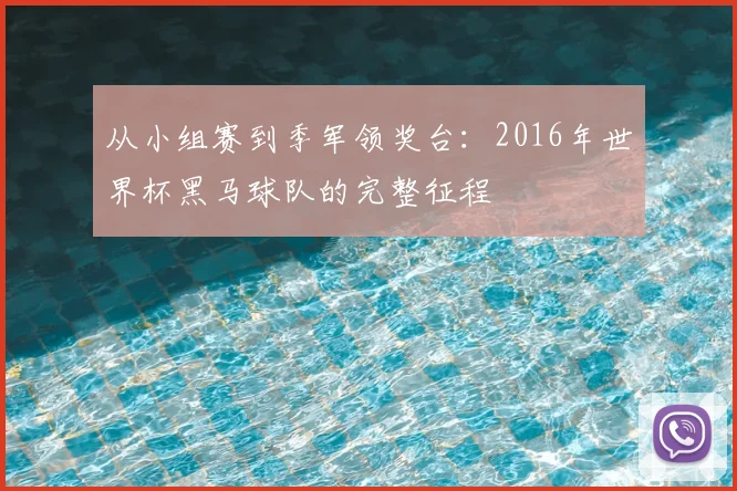从小组赛到季军领奖台：2016年世界杯黑马球队的完整征程
