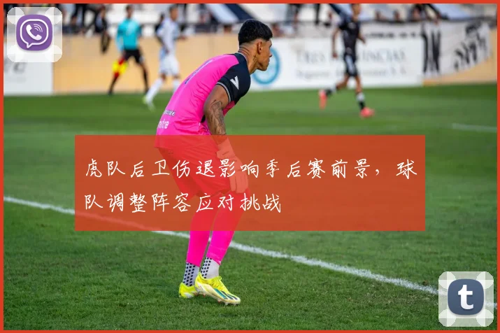 虎队后卫伤退影响季后赛前景，球队调整阵容应对挑战