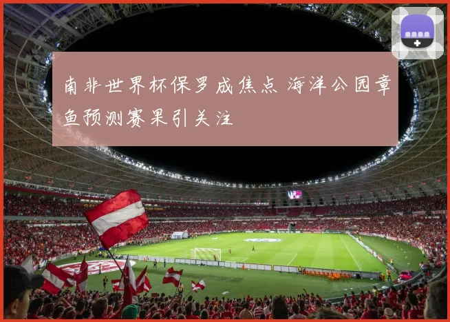 南非世界杯保罗成焦点 海洋公园章鱼预测赛果引关注
