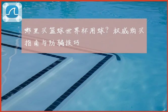 哪里买篮球世界杯用球？权威购买指南与防骗技巧