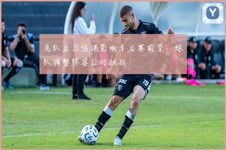 虎队后卫伤退影响季后赛前景,球队调整阵容应对挑战