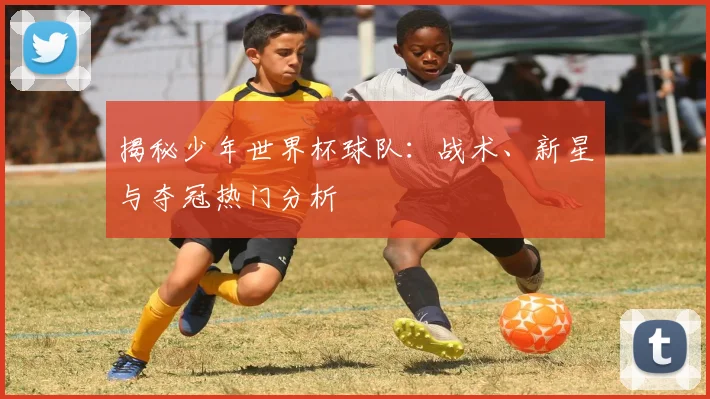 揭秘少年世界杯球队：战术、新星与夺冠热门分析