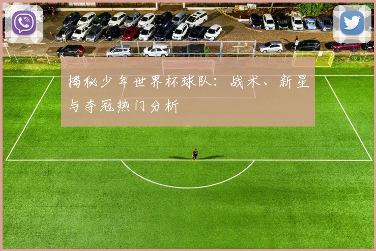 揭秘少年世界杯球队:战术、新星与夺冠热门分析