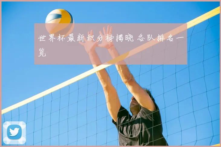 世界杯最新积分榜揭晓 各队排名一览