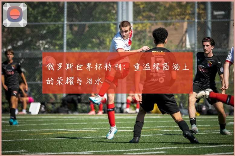 俄罗斯世界杯特刊:重温绿茵场上的荣耀与泪水