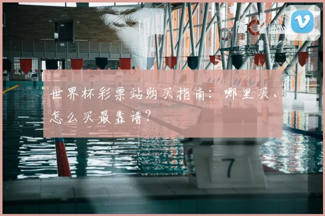 世界杯彩票站购买指南:哪里买、怎么买最靠谱?